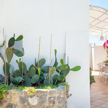 Dei Lecci - 7 Luxury With Private Pool Or Jacuzzi